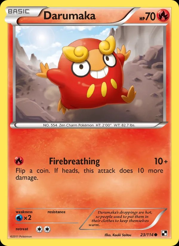 Darumaka (23)