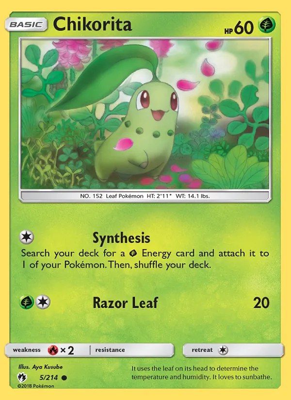 Chikorita (5)