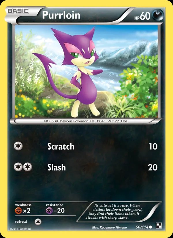 Purrloin - 9/12