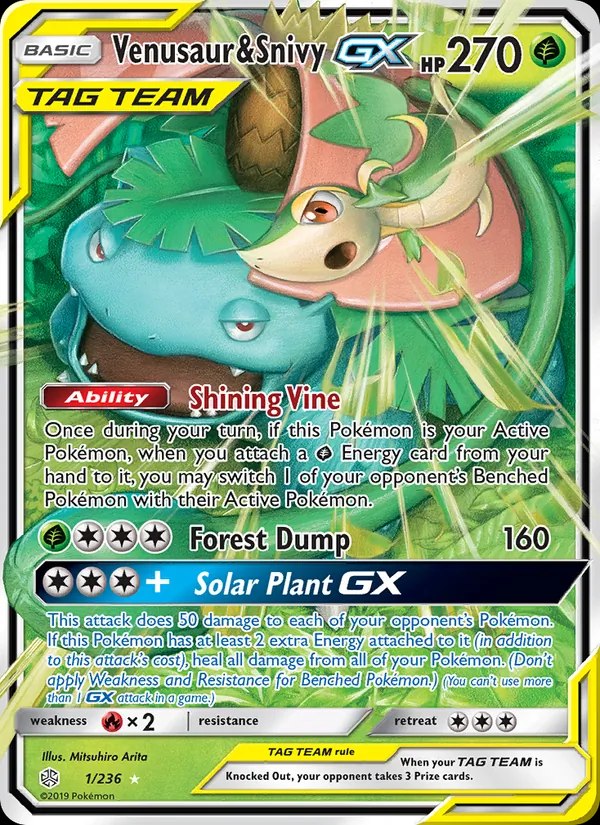Venusaur & Snivy GX - 001/064