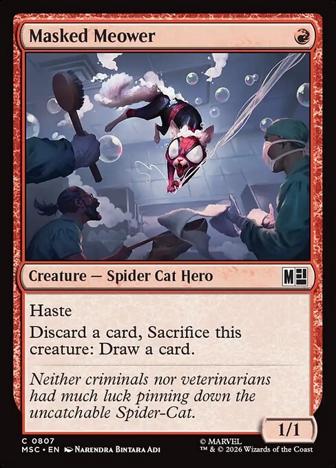 Masked Meower