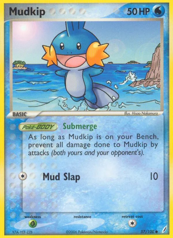 Mudkip - 057/100