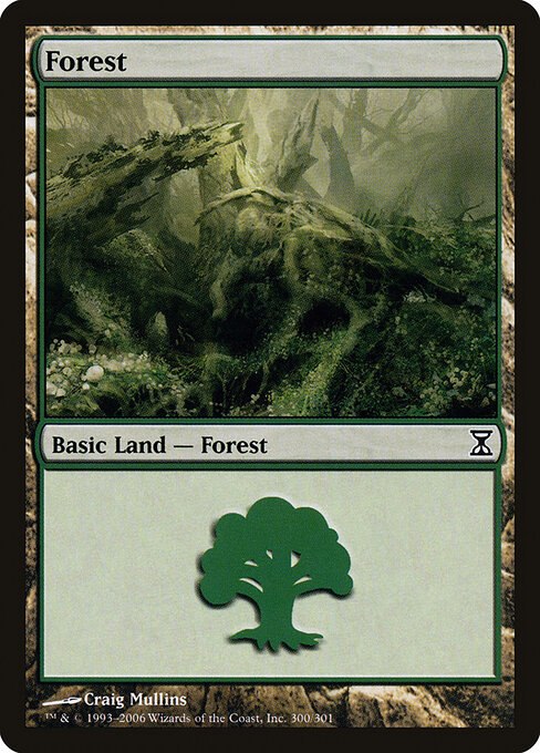 Forest (300)