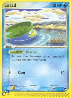 Lotad [Rain Dish | Ram]
