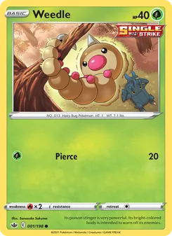 Weedle [Pierce]