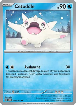 Cetoddle [Avalanche]