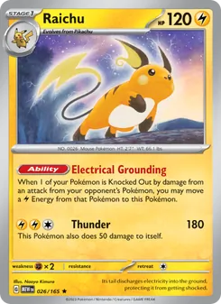 Raichu [Electrical Grounding | Thunder]