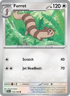 Furret [Scratch | Jet Headbutt]