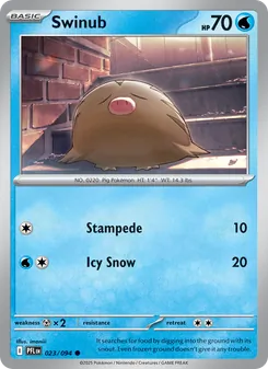 Swinub [Stampede | Icy Snow]