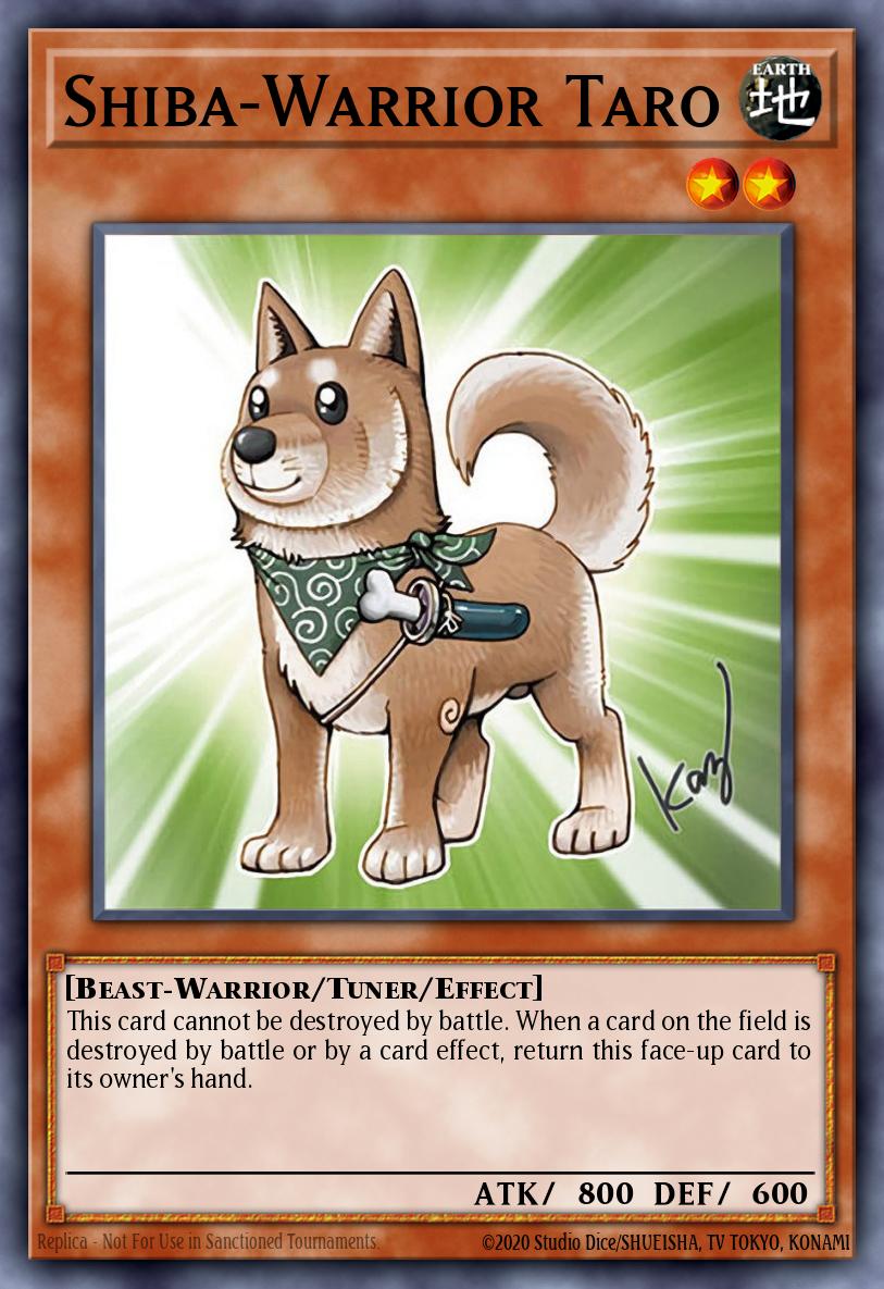 Shiba Warrior Taro