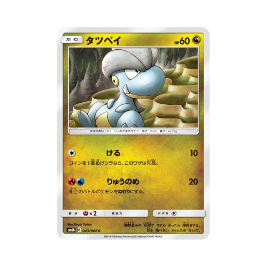 포켓몬 TCG 아공이 C 챔피언로드 (일어판)