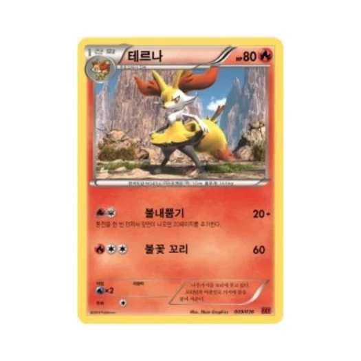 포켓몬 TCG 테르나 XY 퍼스트 세트 푸호꼬의 진화 (한글판)