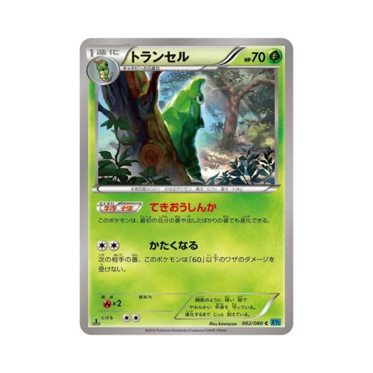 포켓몬 TCG 단데기 C 와일드 블레이즈 퍼스트 에디션 (일어판)