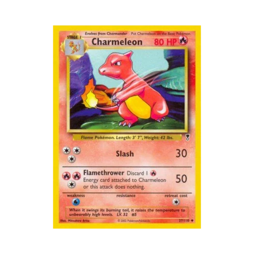 포켓몬 TCG 리자드 U 레전더리 컬렉션 (영문판)