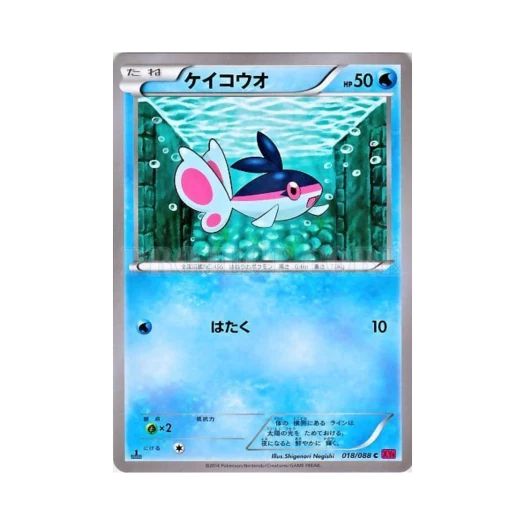 포켓몬 TCG 형광어 C 팬텀게이트 퍼스트 에디션 (일어판)