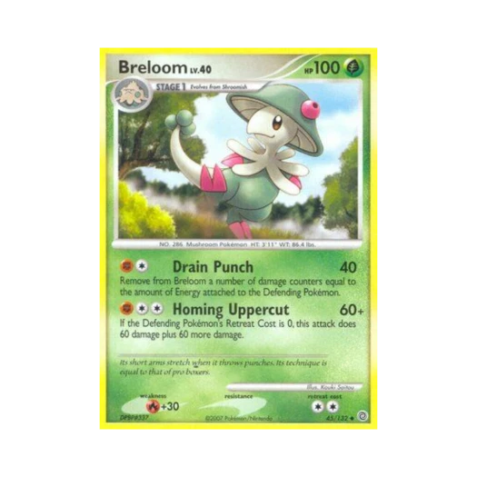 포켓몬 TCG 버섯모 U 시크릿 원더스 (영문판)