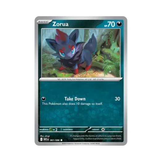 포켓몬 TCG 조로아 C 화이트플레어 (영문판)
