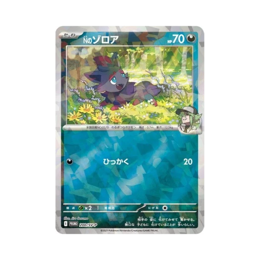 포켓몬 TCG Ｎ의 조로아 P 스칼렛&바이올렛 프로모 카드 (일어판)