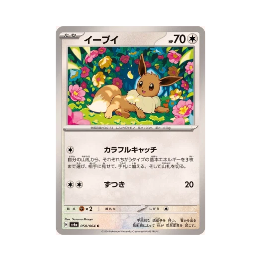 포켓몬 TCG 이브이 C 나이트원더러 (일어판)