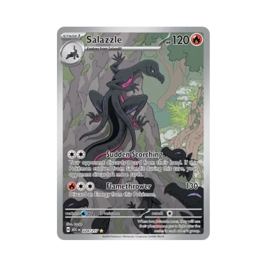 포켓몬 TCG 염뉴트 IR 메가 에볼루션 어센드 히어로즈 (영문판)