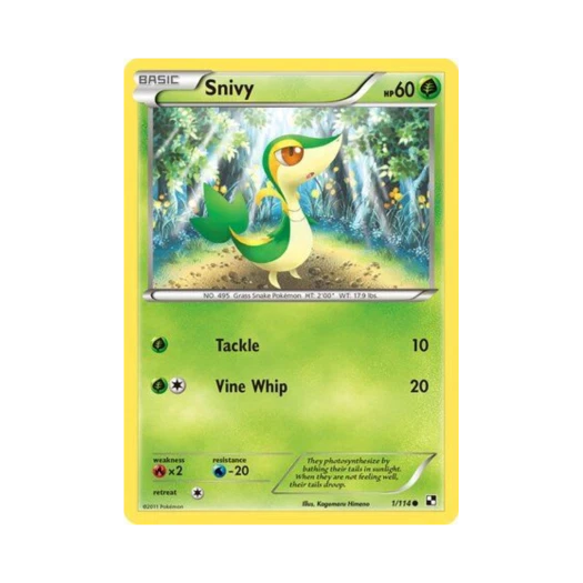 포켓몬 TCG 쥬리비안 C 블랙 & 화이트 (영문판)
