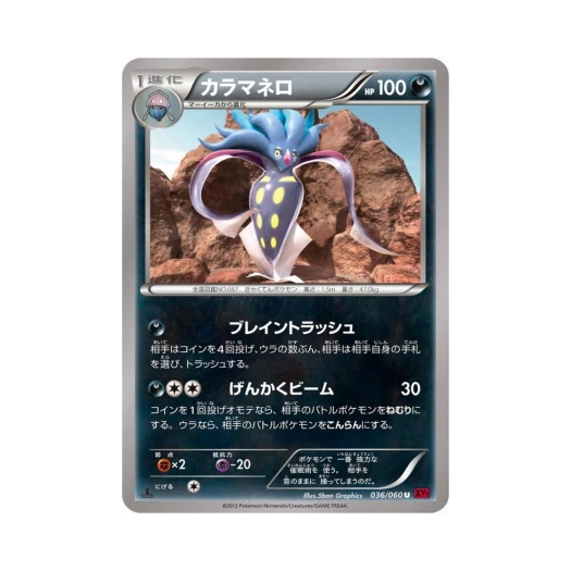 포켓몬 TCG 칼라마네로 U Y컬렉션 퍼스트 에디션 (일어판)