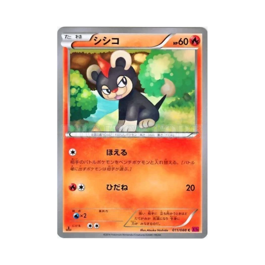 포켓몬 TCG 레오꼬 C 팬텀게이트 퍼스트 에디션 (일어판)
