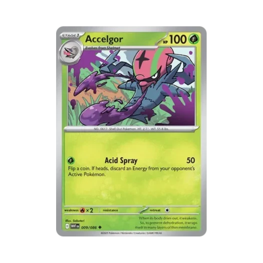 포켓몬 TCG 어지리더 U 화이트플레어 (영문판) 카드 이미지