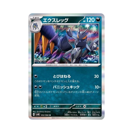 포켓몬 TCG 엑스레그 R 고대의 포효 (일어판)
