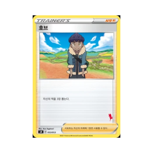 포켓몬 TCG 호브 소드&실드 패밀리 포켓몬 카드 게임 (한글판)