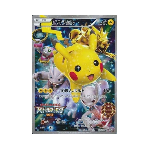 Pokemon TCG Pikachu (Organizer Edition) P XY Promos (Japanese Ver.)