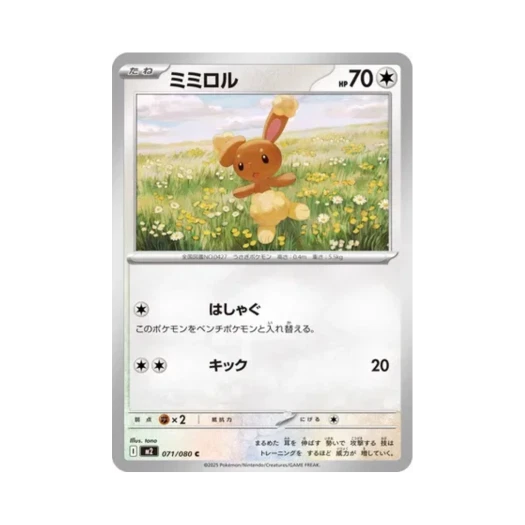 포켓몬 TCG 이어롤 C 인페르노 X (일어판)