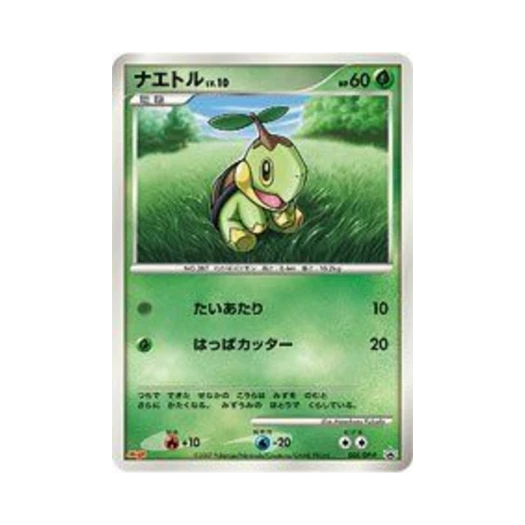 포켓몬 TCG 모부기 P 다이아몬드 & 펄 프로모카드 (일어판)