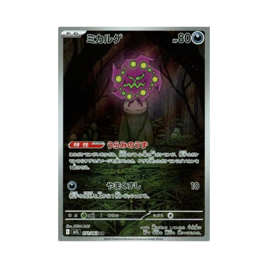 포켓몬 TCG 화강돌 AR 메가브레이브 (일어판)
