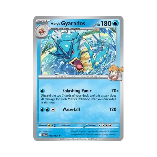 포켓몬 TCG 이슬의 갸라도스 R 데스티니드 라이벌스 (영문판)