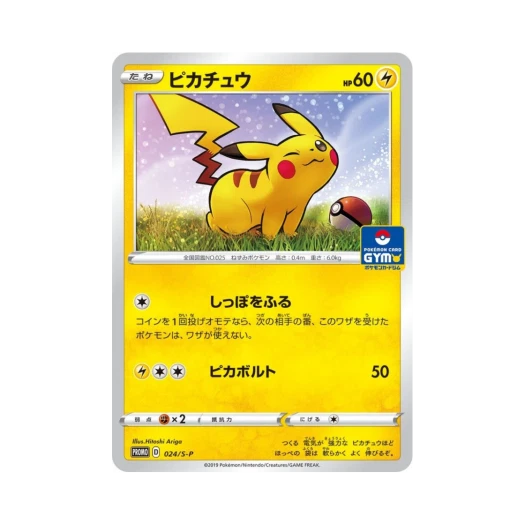 포켓몬 TCG 피카츄 P 소드&실드 프로모 카드 (일어판)