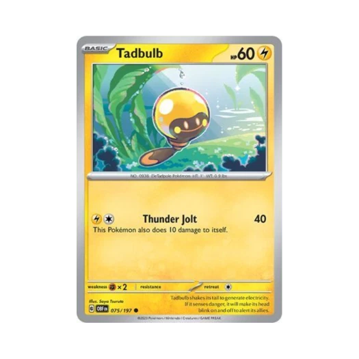 포켓몬 TCG 빈나두 C 옵시디언 플레임즈 (영문판) 카드 이미지