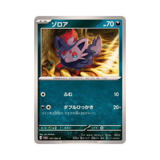 포켓몬 TCG 조로아 C 나이트원더러 (일어판)