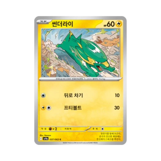 포켓몬 TCG 썬더라이 C 열풍의 아레나 (한글판)