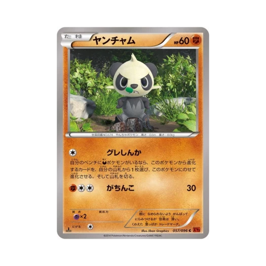 포켓몬 TCG 판짱 C 라이징피스트 퍼스트 에디션 (일어판)