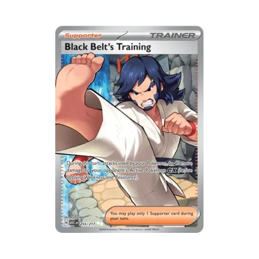 포켓몬 TCG 태권왕의 수련 H 메가 에볼루션 어센드 히어로즈 (영문판)