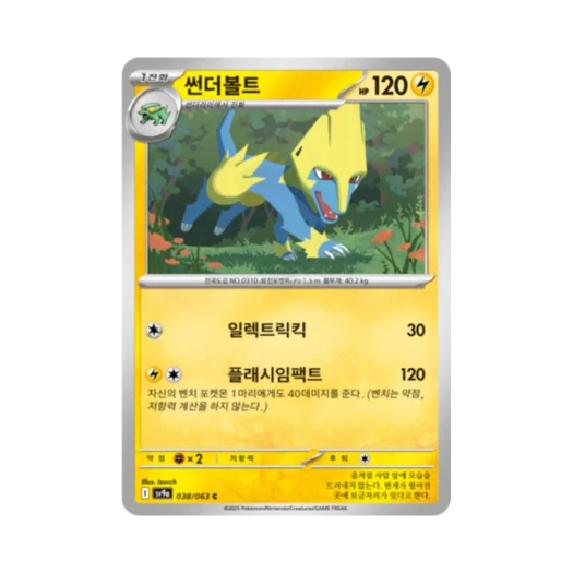 포켓몬 TCG 썬더볼트 C 열풍의 아레나 (한글판)