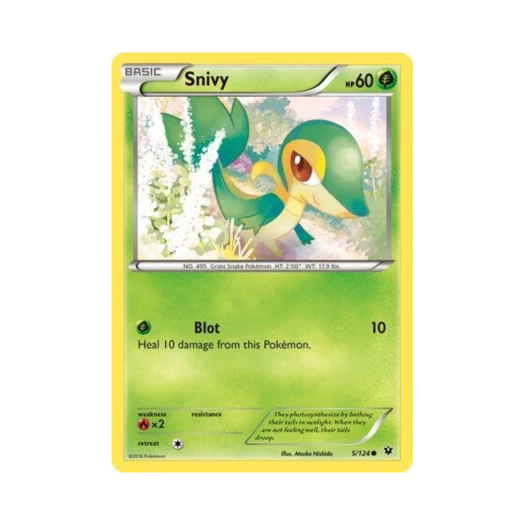 Pokemon TCG Snivy C Fates Collide (English Ver.)