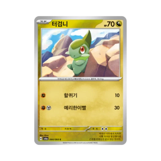 포켓몬 TCG 터검니 C 나이트원더러 (한글판)