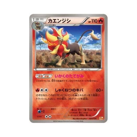 Pokemon TCG Pyroar ex x M x Break Premium Champion Pack (Japanese Ver.)