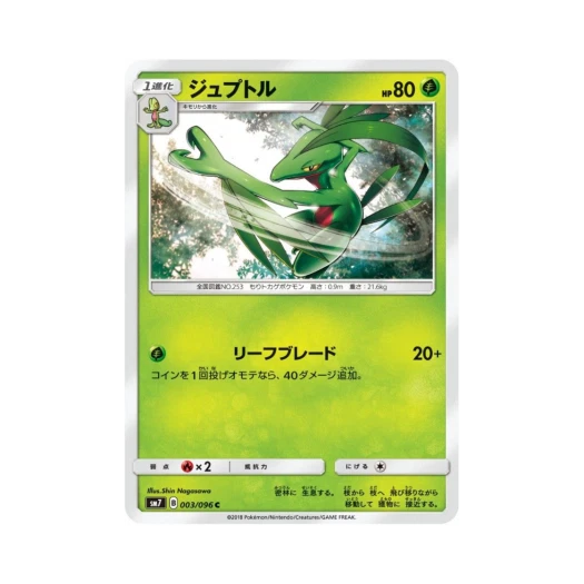 Pokemon TCG Grovyle C Charisma Of The Wrecked Sky (Japanese Ver.)