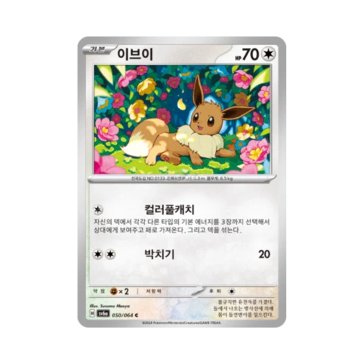 포켓몬 TCG 이브이 C 나이트원더러 (한글판)