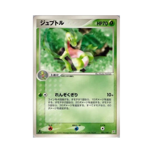 포켓몬 TCG 나무돌이 R 마그마 VS 아쿠아: 두 야망(일어판)