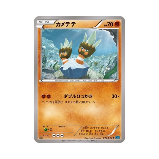 포켓몬 TCG 거북손손 C 와일드 블레이즈 퍼스트 에디션 (일어판)
