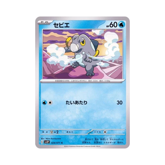 포켓몬 TCG 드니차 C 스노해저드 (일어판)